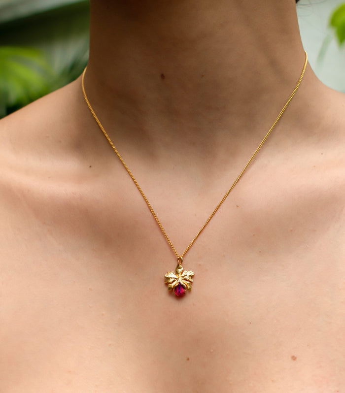 Cadena De Cattleya