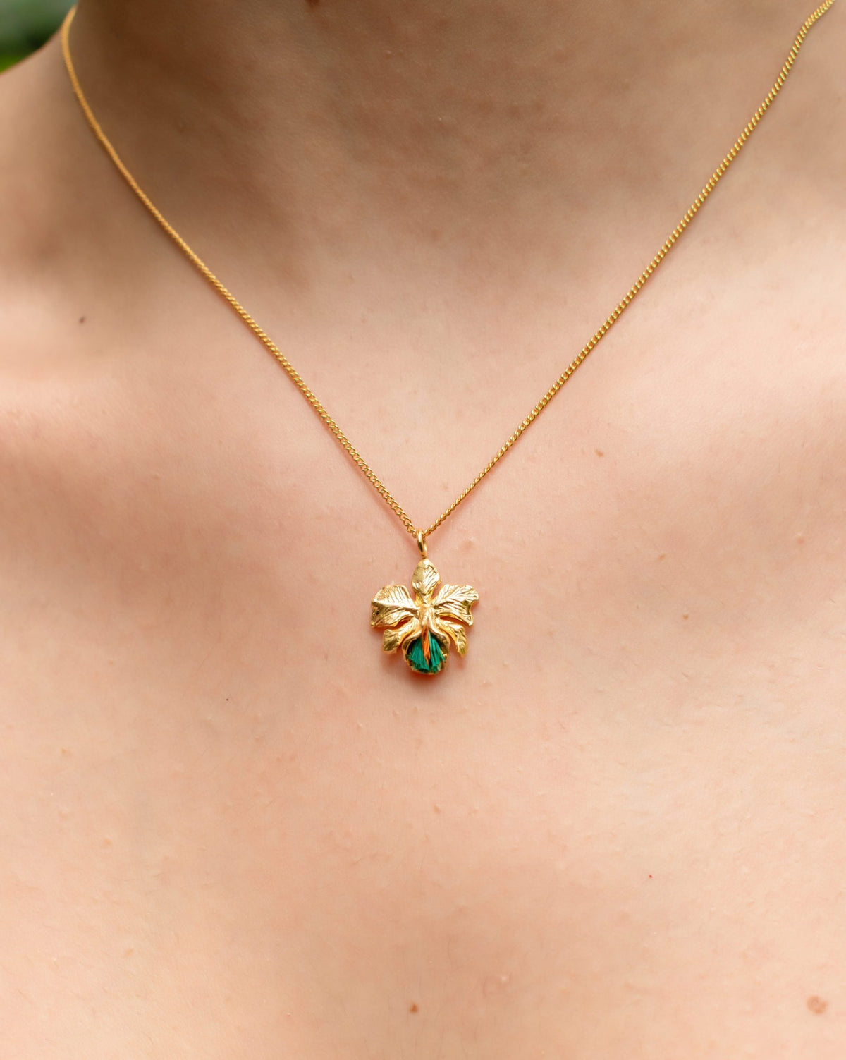 Cadena De Cattleya