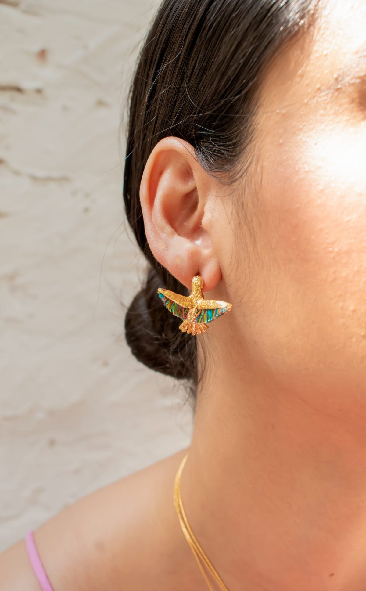 Topos De Colibrí