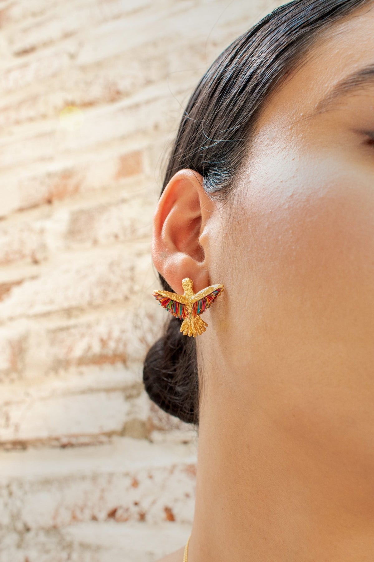 Topos De Colibrí