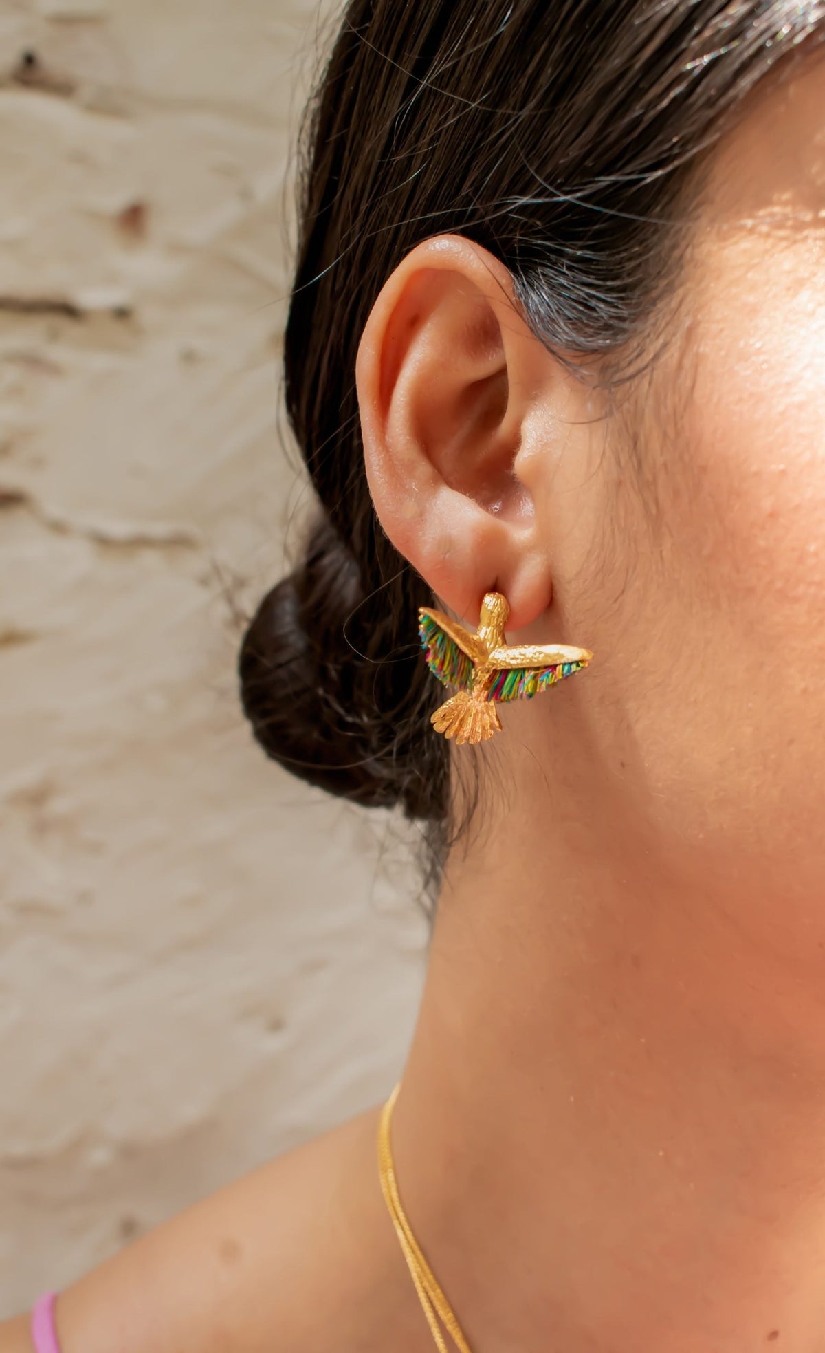 Topos De Colibrí
